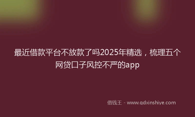 最近借款平台不放款了吗2025年精选，梳理五个网贷口子风控不严的app
