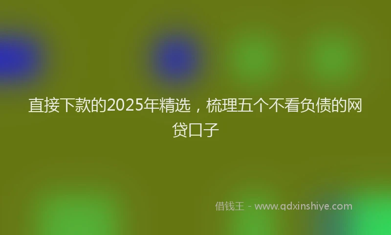 直接下款的2025年精选，梳理五个不看负债的网贷口子