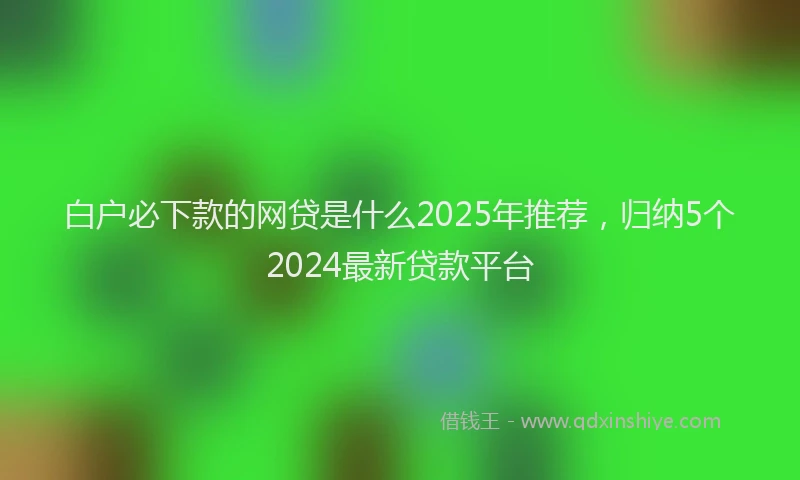 白户必下款的网贷是什么2025年推荐，归纳5个2024最新贷款平台