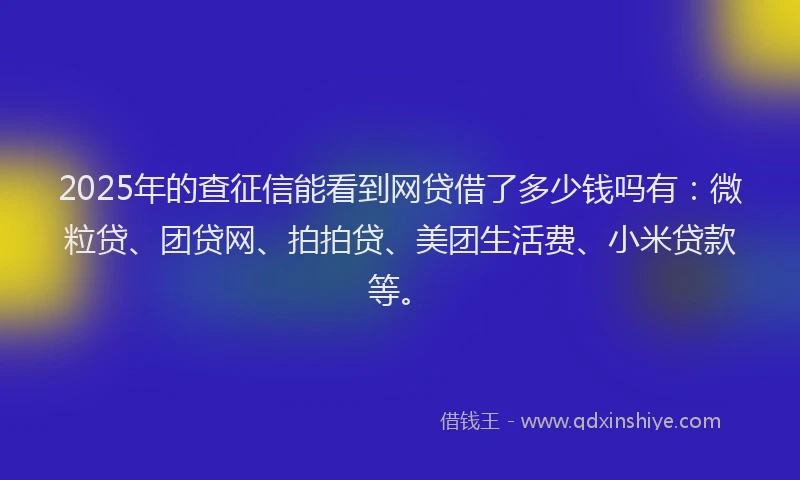 2025年的查征信能看到网贷借了多少钱吗有：微粒贷、团贷网、拍拍贷、美团生活费、小米贷款等。