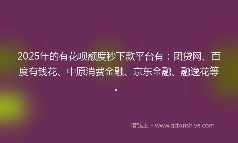 2025年的有花呗额度秒下款平台有：团贷网、百度有钱花、中原消费金融、京东金融、融逸花等。