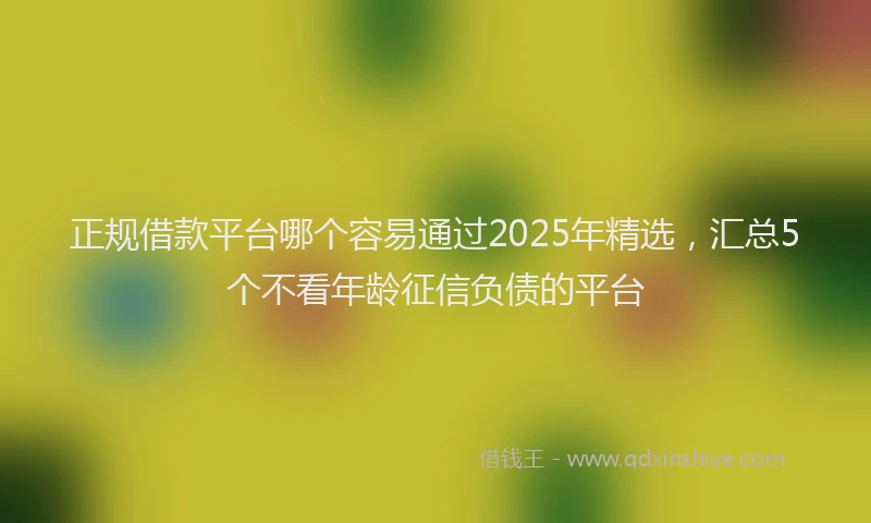 正规借款平台哪个容易通过2025年精选，汇总5个不看年龄征信负债的平台