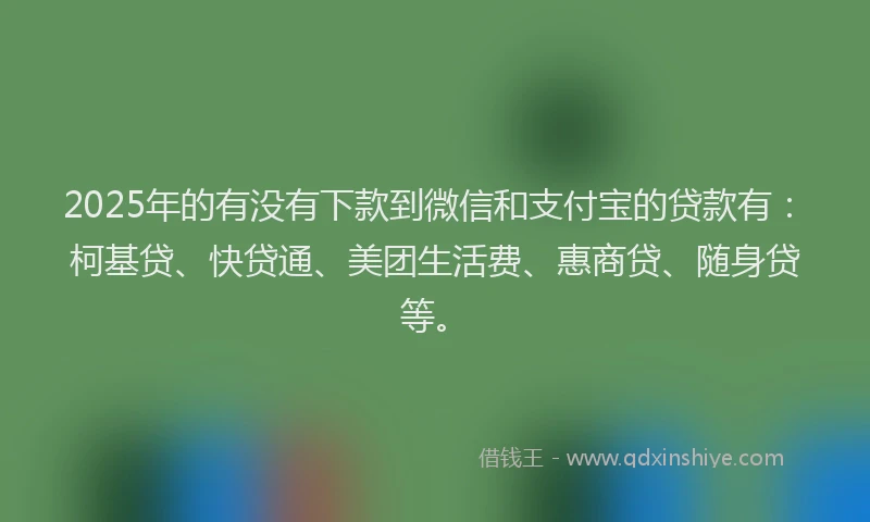 2025年的有没有下款到微信和支付宝的贷款有：柯基贷、快贷通、美团生活费、惠商贷、随身贷等。