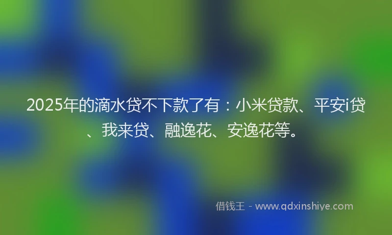 2025年的滴水贷不下款了有：小米贷款、平安i贷、我来贷、融逸花、安逸花等。
