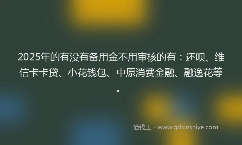 2025年的有没有备用金不用审核的有：还呗、维信卡卡贷、小花钱包、中原消费金融、融逸花等。
