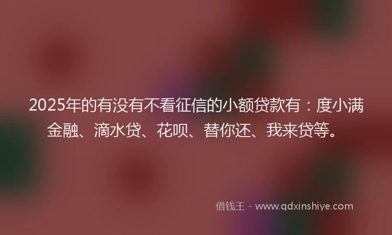 2025年的有没有不看征信的小额贷款有：度小满金融、滴水贷、花呗、替你还、我来贷等。