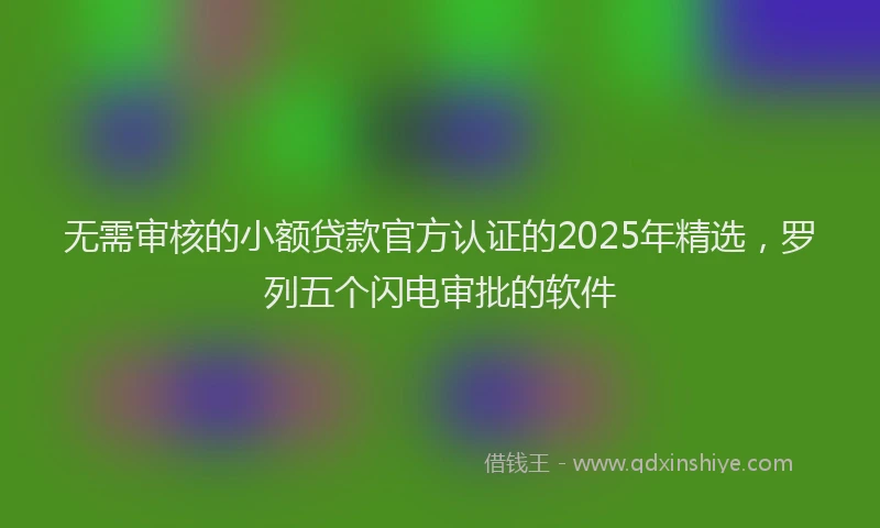 无需审核的小额贷款官方认证的2025年精选，罗列五个闪电审批的软件