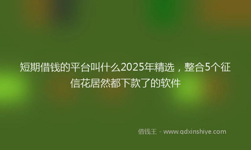 短期借钱的平台叫什么2025年精选，整合5个征信花居然都下款了的软件