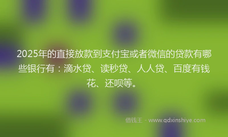 2025年的直接放款到支付宝或者微信的贷款有哪些银行有：滴水贷、读秒贷、人人贷、百度有钱花、还呗等。