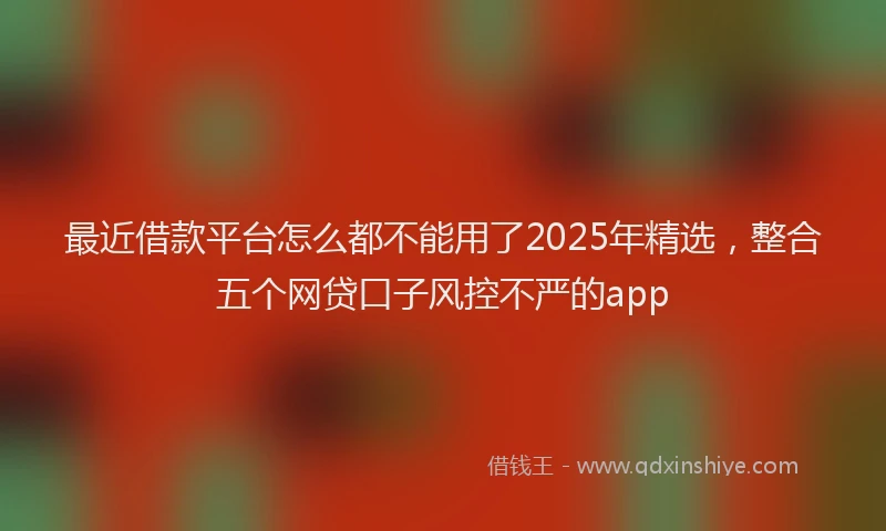 最近借款平台怎么都不能用了2025年精选，整合五个网贷口子风控不严的app