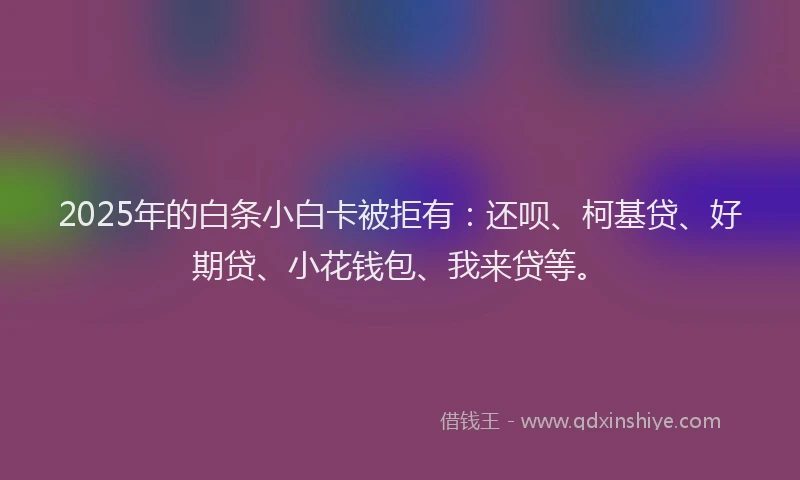 2025年的白条小白卡被拒有：还呗、柯基贷、好期贷、小花钱包、我来贷等。