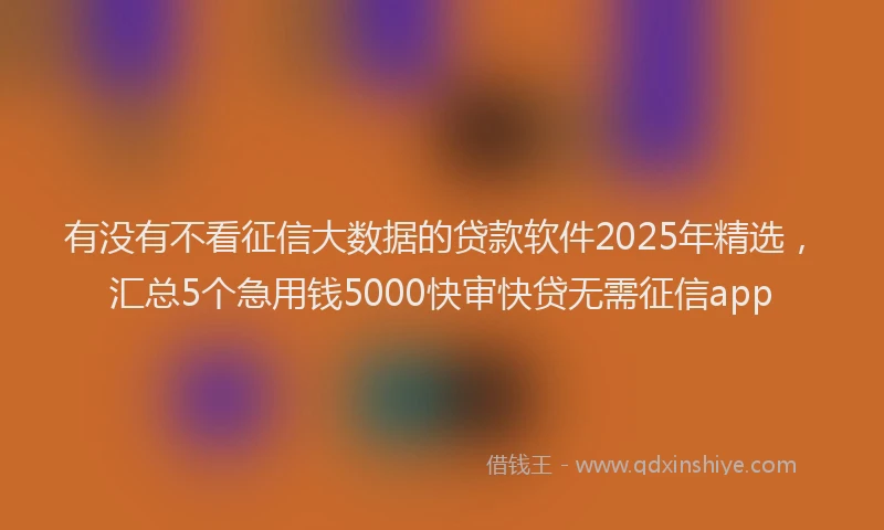 有没有不看征信大数据的贷款软件2025年精选，汇总5个急用钱5000快审快贷无需征信app