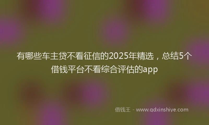 有哪些车主贷不看征信的2025年精选，总结5个借钱平台不看综合评估的app