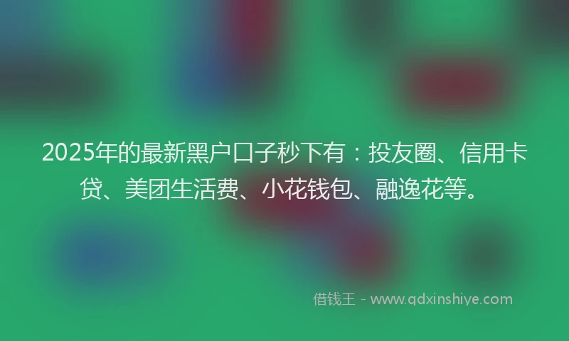 2025年的最新黑户口子秒下有：投友圈、信用卡贷、美团生活费、小花钱包、融逸花等。