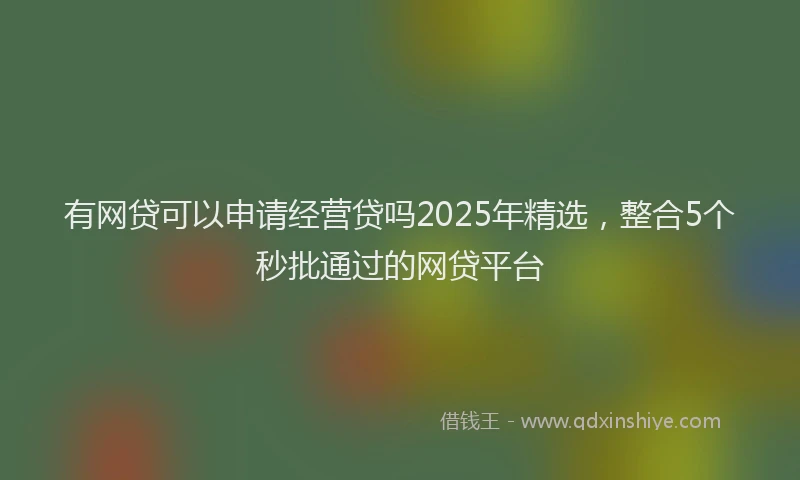 有网贷可以申请经营贷吗2025年精选，整合5个秒批通过的网贷平台