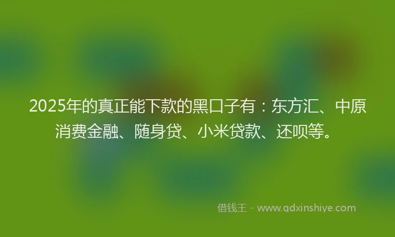 2025年的真正能下款的黑口子有：东方汇、中原消费金融、随身贷、小米贷款、还呗等。