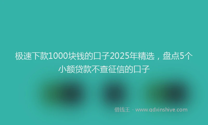 极速下款1000块钱的口子2025年精选，盘点5个小额贷款不查征信的口子