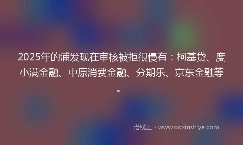 2025年的浦发现在审核被拒很慢有：柯基贷、度小满金融、中原消费金融、分期乐、京东金融等。