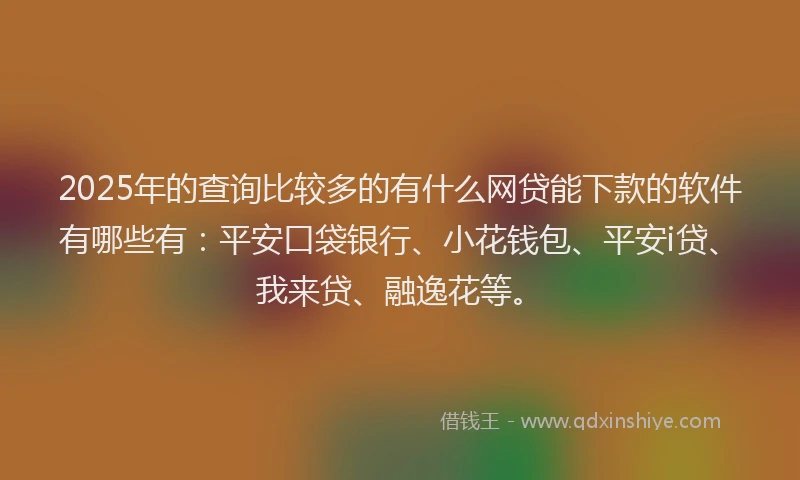 2025年的查询比较多的有什么网贷能下款的软件有哪些有：平安口袋银行、小花钱包、平安i贷、我来贷、融逸花等。