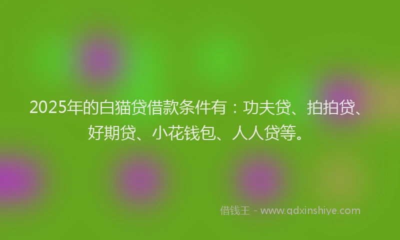 2025年的白猫贷借款条件有：功夫贷、拍拍贷、好期贷、小花钱包、人人贷等。