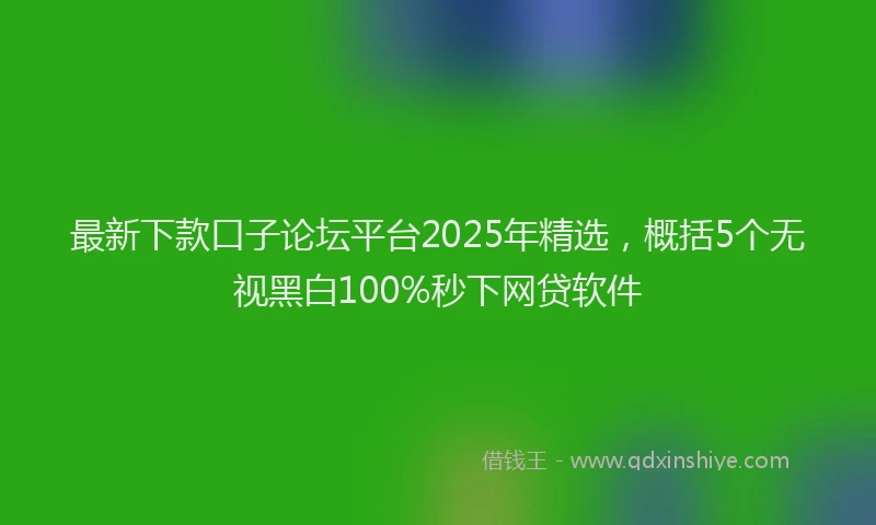 最新下款口子论坛平台2025年精选，概括5个无视黑白100%秒下网贷软件