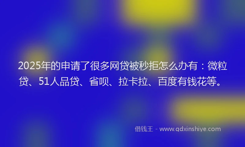 2025年的申请了很多网贷被秒拒怎么办有：微粒贷、51人品贷、省呗、拉卡拉、百度有钱花等。