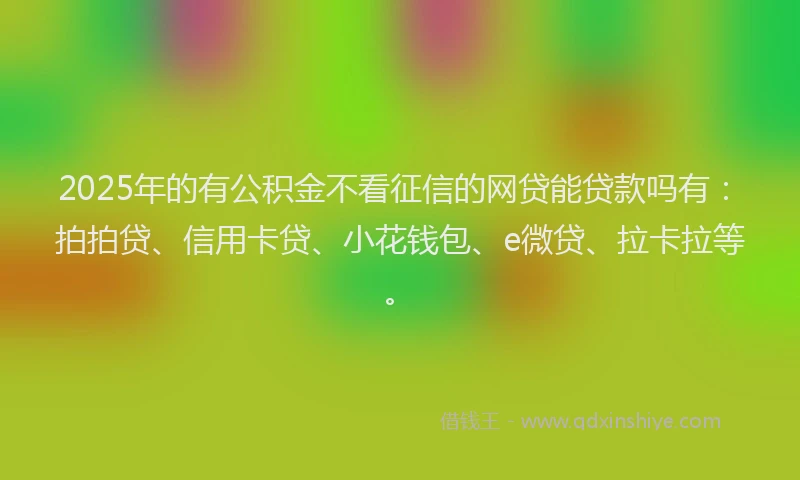 2025年的有公积金不看征信的网贷能贷款吗有：拍拍贷、信用卡贷、小花钱包、e微贷、拉卡拉等。