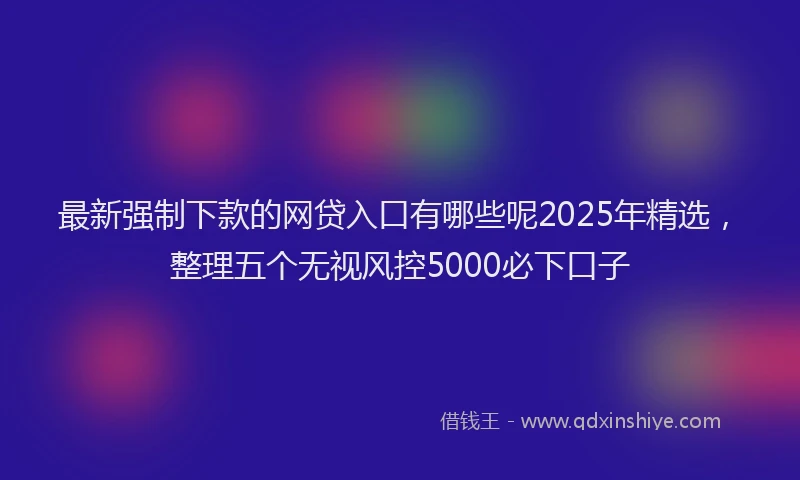 最新强制下款的网贷入口有哪些呢2025年精选，整理五个无视风控5000必下口子