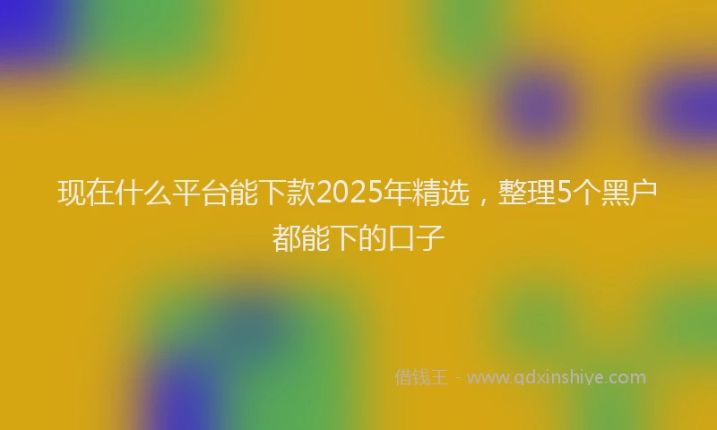 现在什么平台能下款2025年精选，整理5个黑户都能下的口子