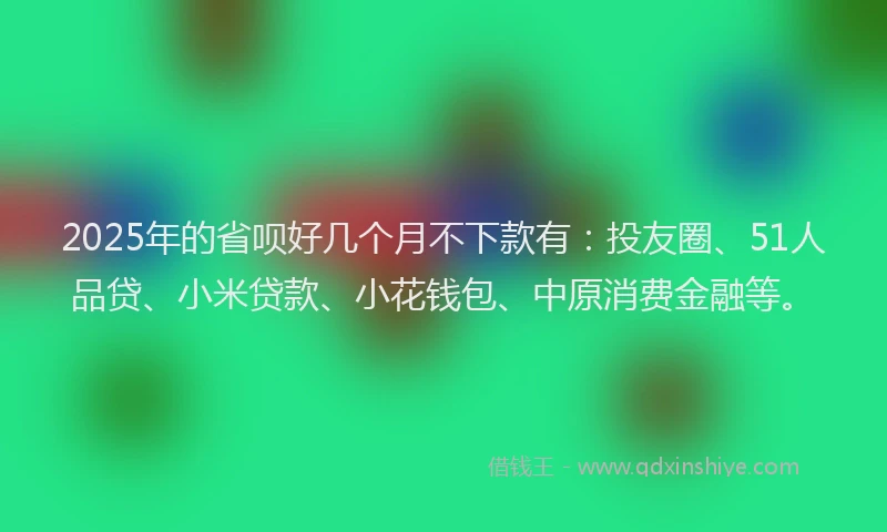 2025年的省呗好几个月不下款有：投友圈、51人品贷、小米贷款、小花钱包、中原消费金融等。
