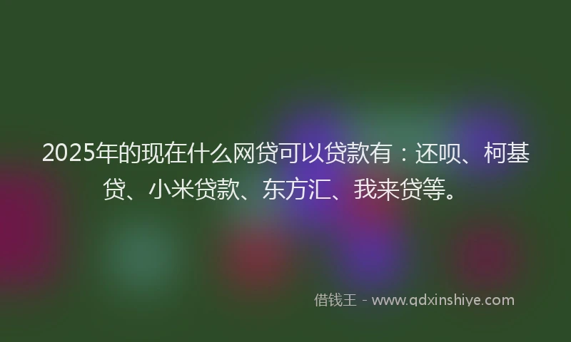 2025年的现在什么网贷可以贷款有：还呗、柯基贷、小米贷款、东方汇、我来贷等。