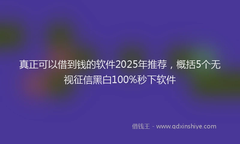真正可以借到钱的软件2025年推荐，概括5个无视征信黑白100%秒下软件