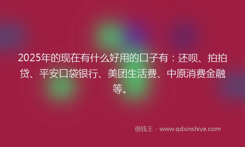 2025年的现在有什么好用的口子有：还呗、拍拍贷、平安口袋银行、美团生活费、中原消费金融等。
