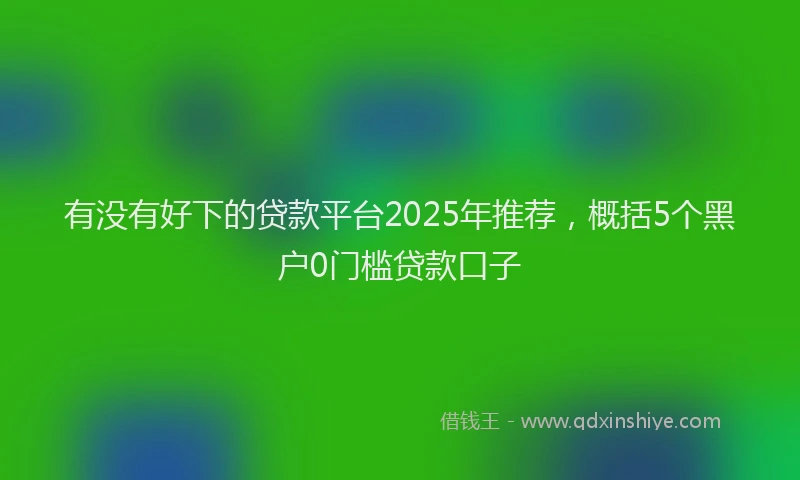 有没有好下的贷款平台2025年推荐，概括5个黑户0门槛贷款口子