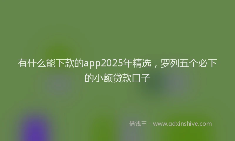 有什么能下款的app2025年精选，罗列五个必下的小额贷款口子