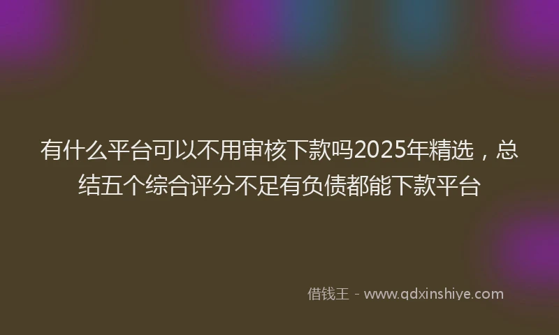 有什么平台可以不用审核下款吗2025年精选，总结五个综合评分不足有负债都能下款平台