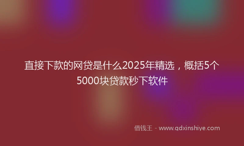 直接下款的网贷是什么2025年精选，概括5个5000块贷款秒下软件