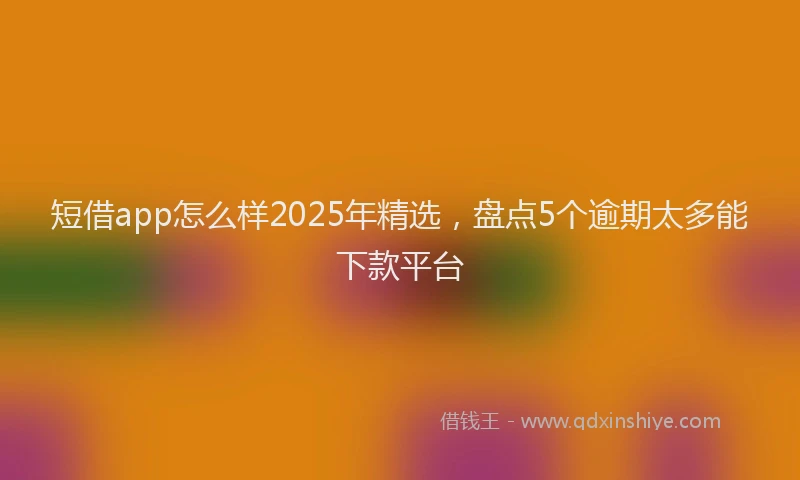 短借app怎么样2025年精选，盘点5个逾期太多能下款平台