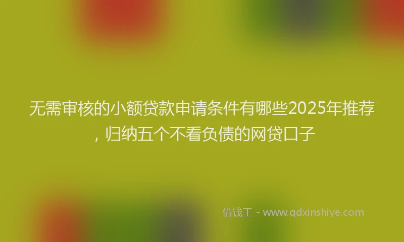 无需审核的小额贷款申请条件有哪些2025年推荐，归纳五个不看负债的网贷口子