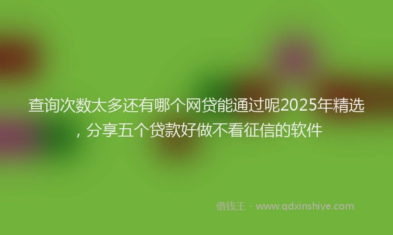 查询次数太多还有哪个网贷能通过呢2025年精选，分享五个贷款好做不看征信的软件