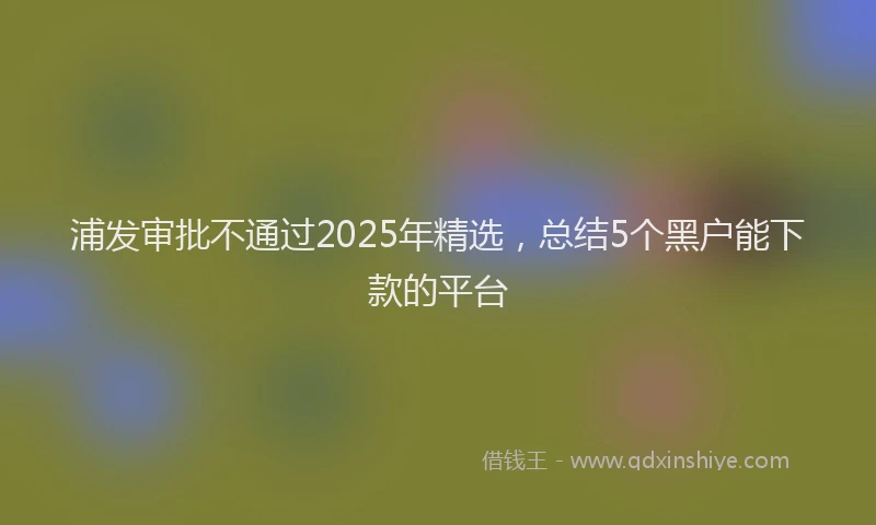 浦发审批不通过2025年精选，总结5个黑户能下款的平台