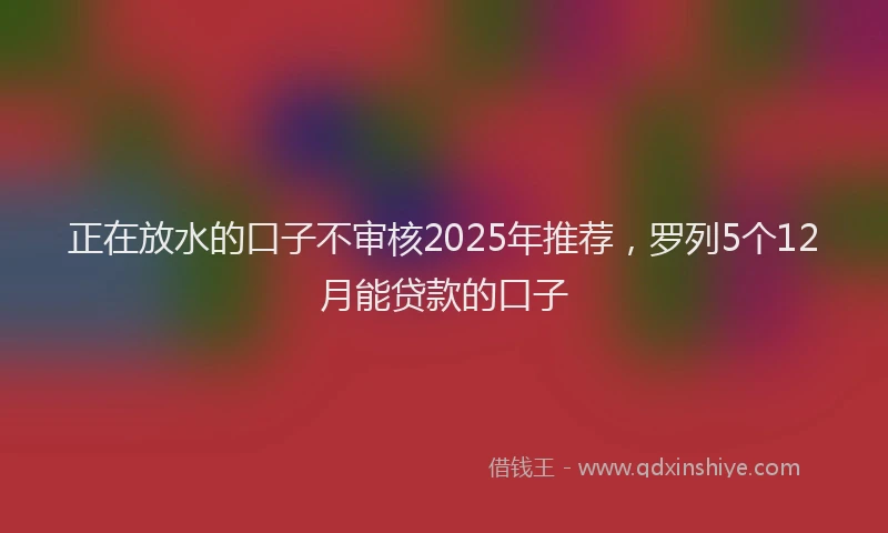 正在放水的口子不审核2025年推荐，罗列5个12月能贷款的口子