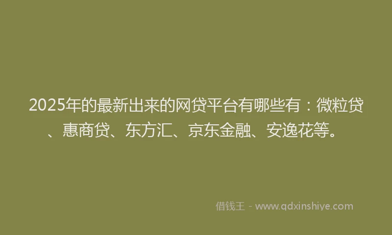 2025年的最新出来的网贷平台有哪些有：微粒贷、惠商贷、东方汇、京东金融、安逸花等。