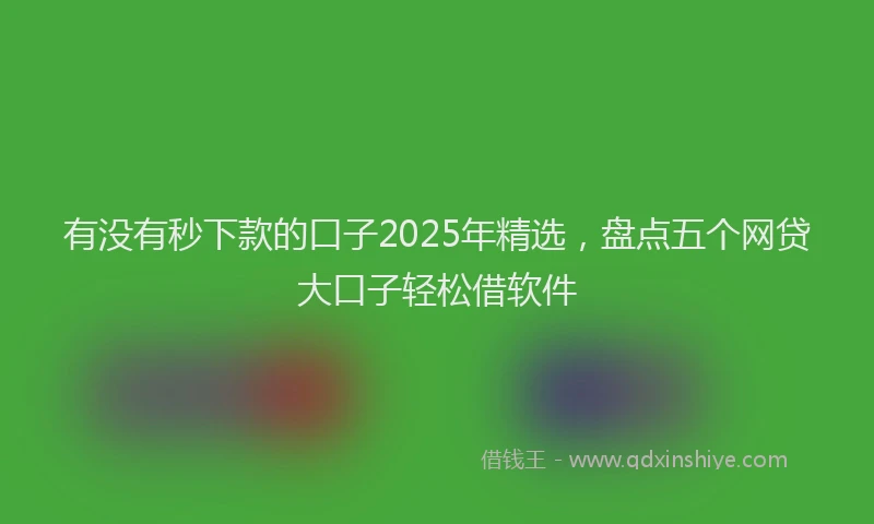 有没有秒下款的口子2025年精选，盘点五个网贷大口子轻松借软件