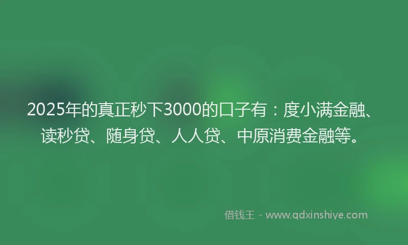 2025年的真正秒下3000的口子有：度小满金融、读秒贷、随身贷、人人贷、中原消费金融等。