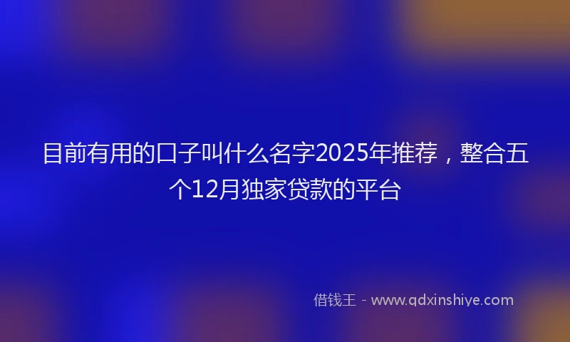 目前有用的口子叫什么名字2025年推荐，整合五个12月独家贷款的平台