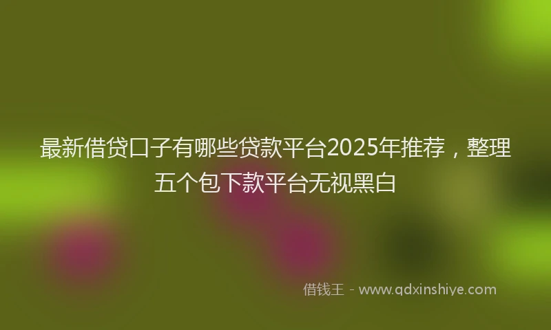 最新借贷口子有哪些贷款平台2025年推荐，整理五个包下款平台无视黑白