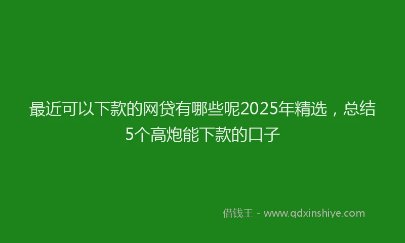 最近可以下款的网贷有哪些呢2025年精选，总结5个高炮能下款的口子