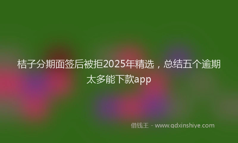 桔子分期面签后被拒2025年精选，总结五个逾期太多能下款app