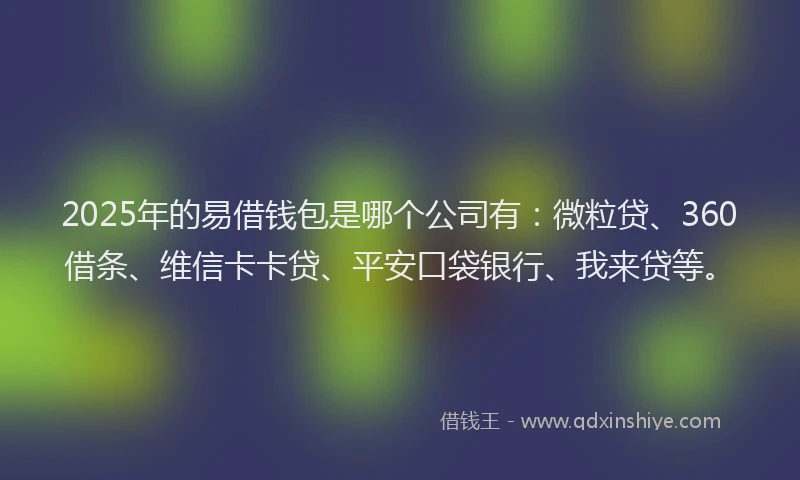 2025年的易借钱包是哪个公司有：微粒贷、360借条、维信卡卡贷、平安口袋银行、我来贷等。